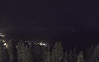 Bukovina - Panorama - 03-11-2025 04:37