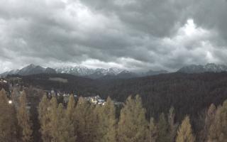 Bukovina - Panorama - 03-11-2025 04:58