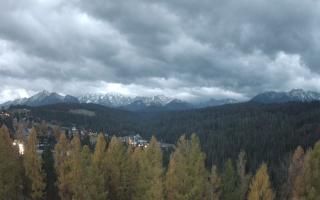 Bukovina - Panorama - 03-11-2025 05:06