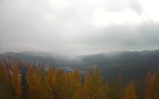 Bukovina - Panorama - 03-11-2025 06:30