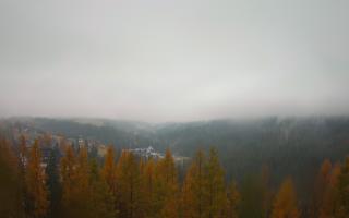 Bukovina - Panorama - 03-11-2025 06:44
