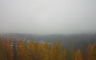 Bukovina - Panorama - 03-11-2025 06:51