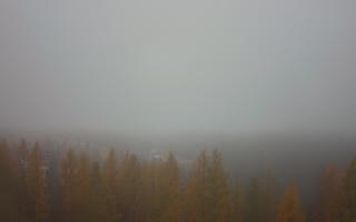 Bukovina - Panorama - 03-11-2025 06:58