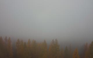 Bukovina - Panorama - 03-11-2025 07:05