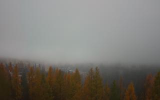 Bukovina - Panorama - 03-11-2025 07:12