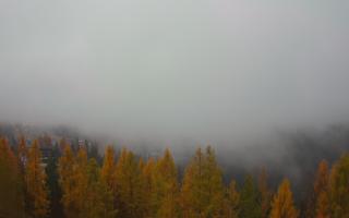 Bukovina - Panorama - 03-11-2025 07:19
