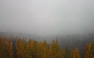 Bukovina - Panorama - 03-11-2025 07:26