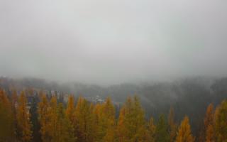 Bukovina - Panorama - 03-11-2025 07:33