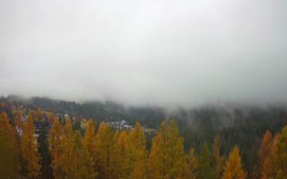 Bukovina - Panorama - 03-11-2025 07:40