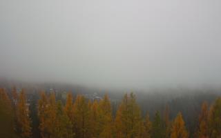 Bukovina - Panorama - 03-11-2025 07:47