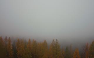 Bukovina - Panorama - 03-11-2025 07:54