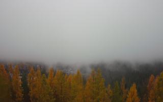 Bukovina - Panorama - 03-11-2025 08:01