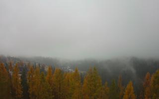 Bukovina - Panorama - 03-11-2025 08:08