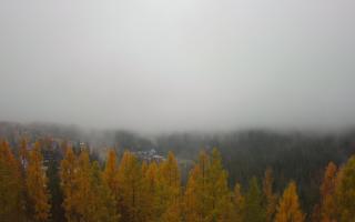 Bukovina - Panorama - 03-11-2025 08:16