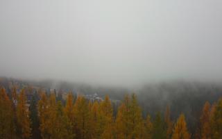 Bukovina - Panorama - 03-11-2025 08:23