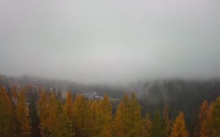 Bukovina - Panorama - 03-11-2025 08:30
