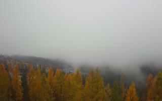 Bukovina - Panorama - 03-11-2025 08:37