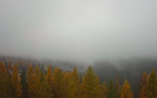 Bukovina - Panorama - 03-11-2025 08:44