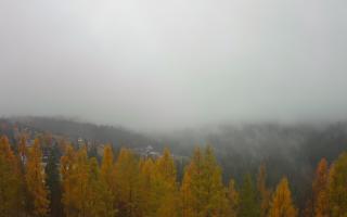 Bukovina - Panorama - 03-11-2025 08:51