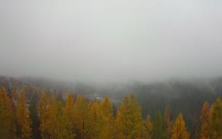 Bukovina - Panorama - 03-11-2025 08:58