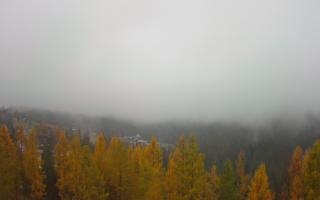 Bukovina - Panorama - 03-11-2025 09:05