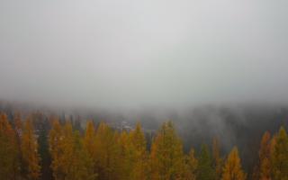 Bukovina - Panorama - 03-11-2025 09:12