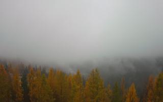 Bukovina - Panorama - 03-11-2025 09:19