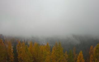 Bukovina - Panorama - 03-11-2025 09:26