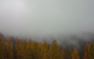 Bukovina - Panorama - 03-11-2025 09:33