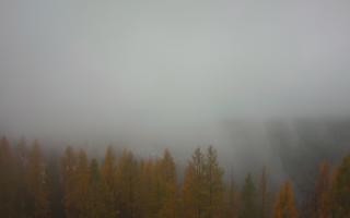 Bukovina - Panorama - 03-11-2025 09:40