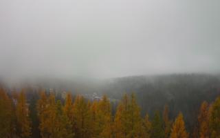 Bukovina - Panorama - 03-11-2025 09:47