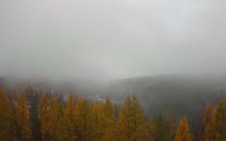 Bukovina - Panorama - 03-11-2025 09:54