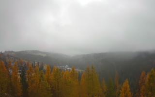 Bukovina - Panorama - 03-11-2025 10:15