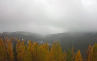 Bukovina - Panorama - 03-11-2025 10:29