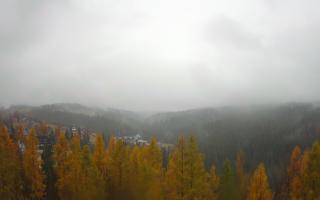 Bukovina - Panorama - 03-11-2025 10:36