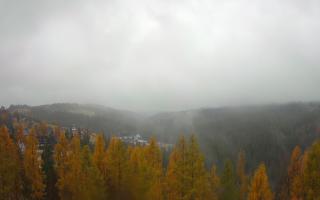 Bukovina - Panorama - 03-11-2025 10:43