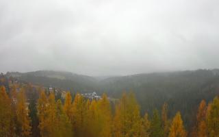 Bukovina - Panorama - 03-11-2025 10:50