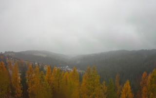 Bukovina - Panorama - 03-11-2025 10:57