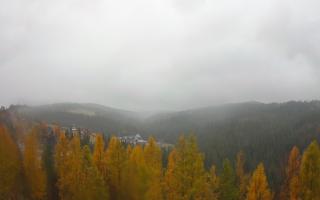 Bukovina - Panorama - 03-11-2025 11:04