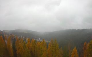 Bukovina - Panorama - 03-11-2025 11:11