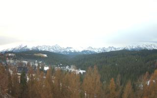 Bukovina - Panorama - 18-12-2025 07:43