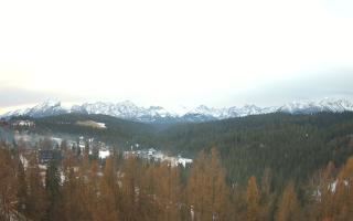 Bukovina - Panorama - 18-12-2025 07:50