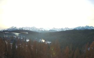 Bukovina - Panorama - 18-12-2025 09:18
