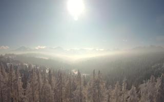 Bukovina - Panorama - 01-02-2026 09:44