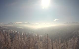 Bukovina - Panorama - 01-02-2026 10:19