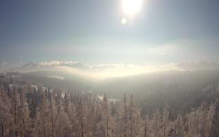 Bukovina - Panorama - 01-02-2026 10:26