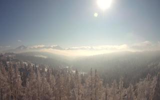 Bukovina - Panorama - 01-02-2026 10:40