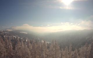 Bukovina - Panorama - 01-02-2026 11:01