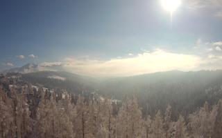 Bukovina - Panorama - 01-02-2026 11:15