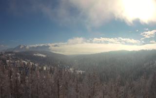 Bukovina - Panorama - 01-02-2026 11:50
